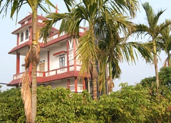 “Xã hội hóa” trên quê hương vải thiều