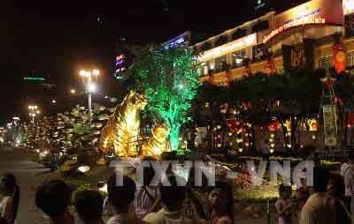 Tp.Hồ Chí Minh: Khai mạc đường hoa Nguyễn Huệ