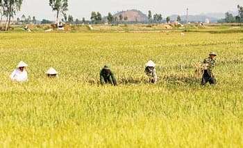 Âm vang vết xích... H02