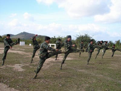 Lính trinh sát kể chuyện rừng