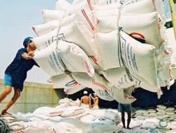 Sáu triệu tấn gạo xuất khẩu là "trong tầm tay"