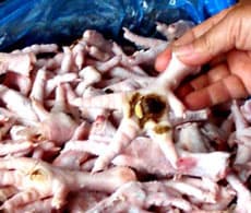 Lại phát hiện 48 tấn chân gà "bẩn" nhập khẩu