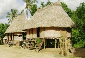 Điểm đến của xứ sở rừng xanh