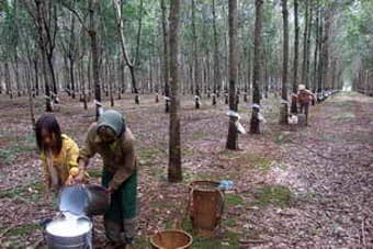 Hỗ trợ tín dụng cho dự án cao su đầu tư tại nước ngoài