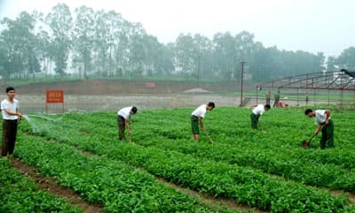 Đất không phụ công người