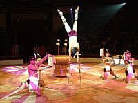 Cuộc thi cho tài năng xiếc trẻ