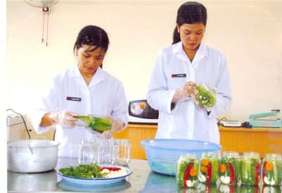 Học để sáng tạo – sáng tạo để ứng dụng