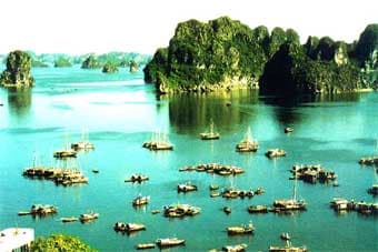 “Rừng vàng, biển bạc” - hiểu thế nào cho đúng?
