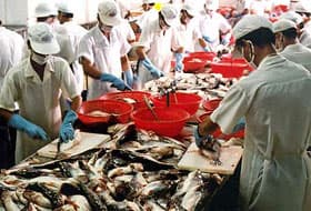 Việt Nam và Mỹ nỗ lực thúc đẩy quan hệ thương mại