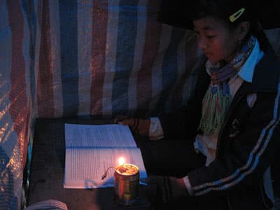 Đốm sáng giữa rừng