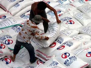 Giá gạo thế giới có thể tăng trở lại mức kỷ lục