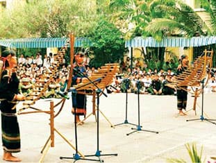 Tuyển sinh ở... rừng