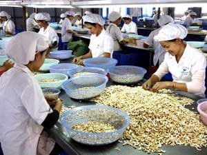 Xuất khẩu nông lâm thủy sản đạt trên 15 tỷ USD