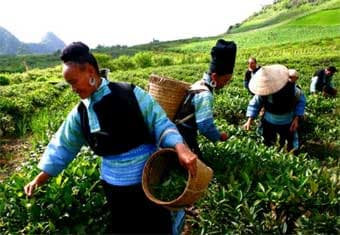 Đẩy mạnh phát triển kinh tế đồng bào vùng sâu, vùng xa