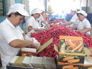 TP.Hồ Chí Minh phấn đấu đạt tốc độ tăng trưởng hơn 10%