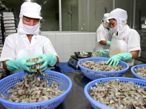 Việt Nam -Ba Lan thúc đẩy xuất khẩu nông, lâm, thủy sản