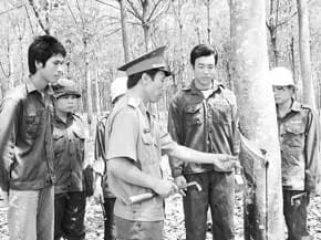 Biên giới xanh