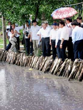 Sông Thị Vải chưa hồi sinh