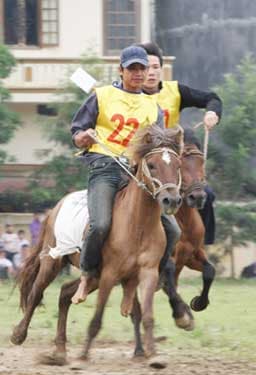 Tưng bừng “Giải đua ngựa Bắc Hà mở rộng năm 2009”