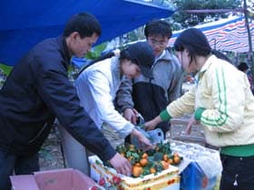 “Cậu bé vàng” vùng biển Thanh Xuân