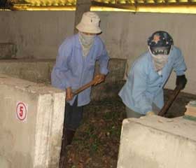 Ứng dụng công nghệ sinh học xử lý môi trường