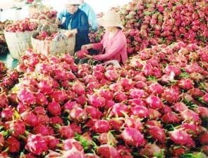 Hỗ trợ 95 triệu USD cải thiện chất lượng và an toàn sản phẩm nông nghiệp tại Việt Nam