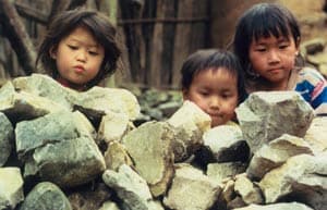 Tuần phim tài liệu quốc tế tại Việt Nam