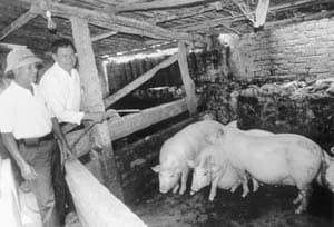 Diễn Châu có hàng trăm thương binh làm kinh tế giỏi