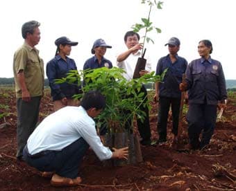 Cảnh giác với xuyên tạc của kẻ xấu