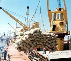 Xuất khẩu gạo có thể đạt kỷ lục