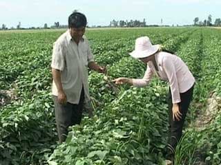 Tạo sự bứt phá trong đào tạo nghề cho nông dân