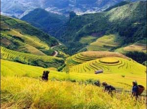 Gần 200 triệu USD cho dự án “Quỹ Đầu tư phát triển địa phương”