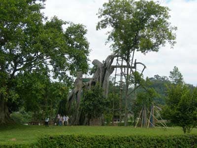 Ngày mới ở Tân Trào