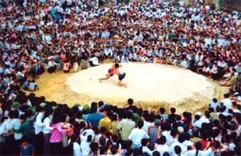 Xuân Cẩm, mùa thu này