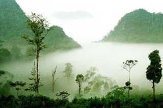 Khám phá Rừng quốc gia Xuân Sơn