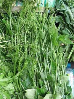 Rau vừa là thực phẩm vừa là thuốc