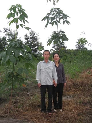Bỏ phố... lên rừng