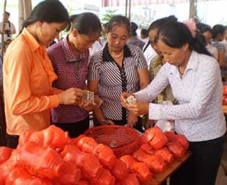 Ninh Bình 40 năm thực hiện Di chúc Bác Hồ (Tiếp theo và hết)