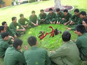 Chiến sĩ chơi chọi gà