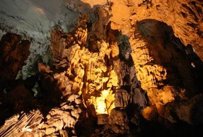 Hang Đầu Gỗ