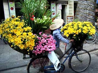 Gánh hàng hoa, một thời để nhớ