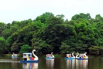 Nông nghiệp công nghệ cao kết hợp du lịch sinh thái