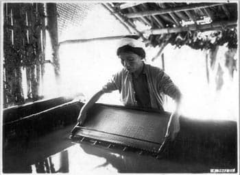 Nghề giấy Bưởi