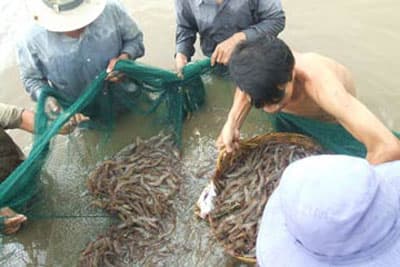 Hướng tới sự phát triển ổn định