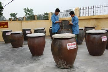 Hội thi để vượt... chính mình