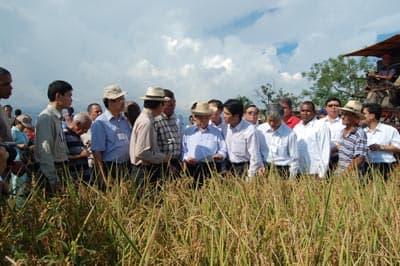 Xứng tầm quan hệ đặc biệt