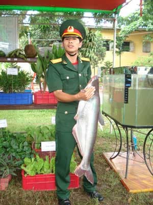 Trồng rau trên đá, nuôi cá trên đồi