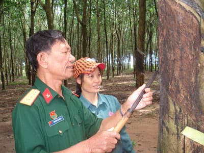 “Bác sĩ” của rừng