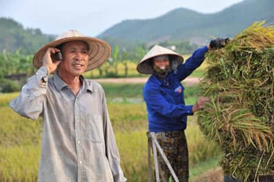 “Mô-bai” về làng