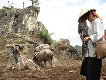 Gian nan vì nhiều cán bộ yếu